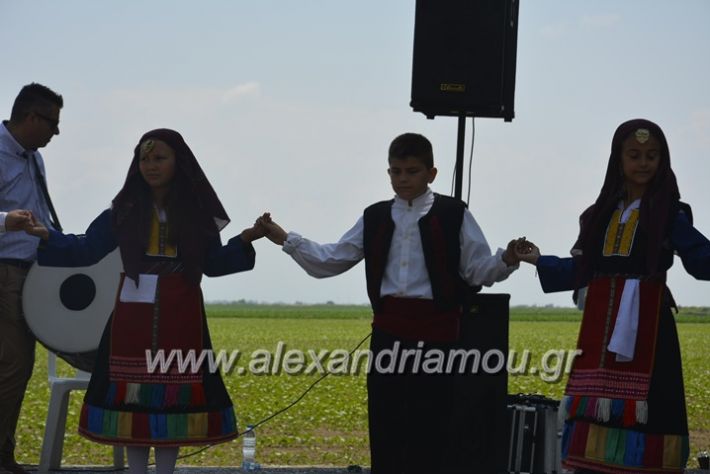 alexandriamou.gr_trikala28.5.2018151